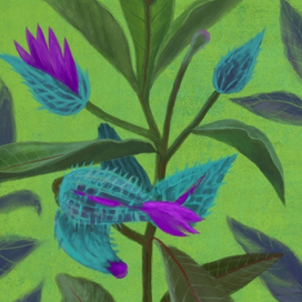 Большой полевой цветок