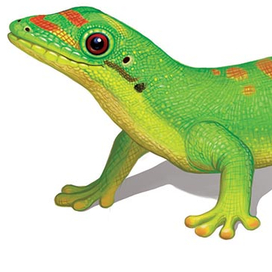 Рептилии "Русский стиль"