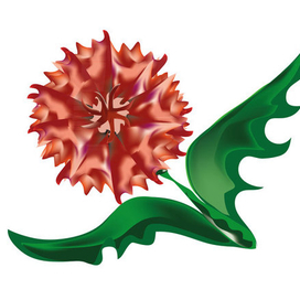 чудо-цветок.