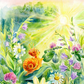 Улиточка Мария встречает рассвет.