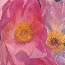 Древовидный пион