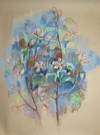 Яблоневый цвет