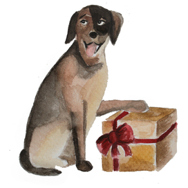 Пес из Шкодера и подарки