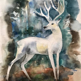 Белоснежный олень 