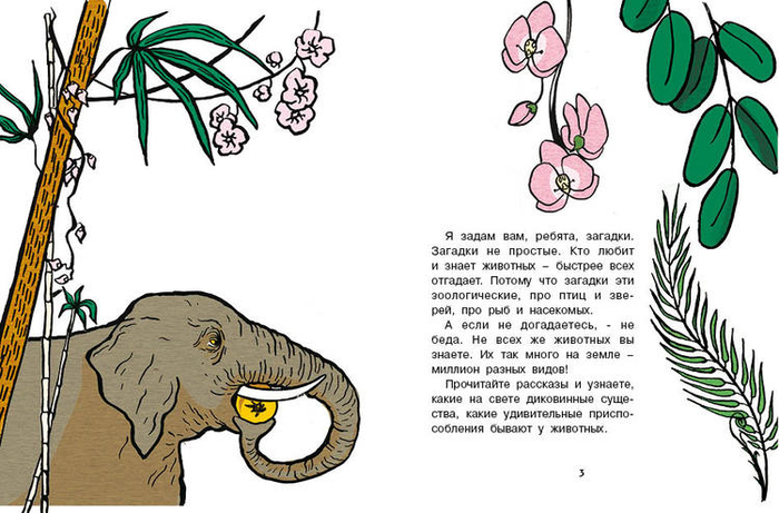 Кто без крыльев живет_01