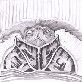 | черепаха в доспехах |