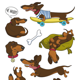 Стикерпак для таксобак)