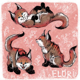 ELORI