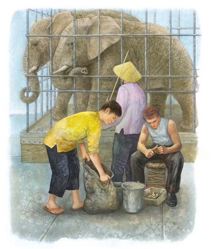 Кто трубил на пароходе?