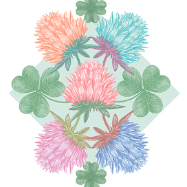 Обложка духов