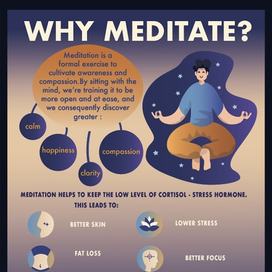 Why meditate?