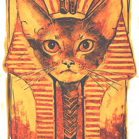 Абиссинский