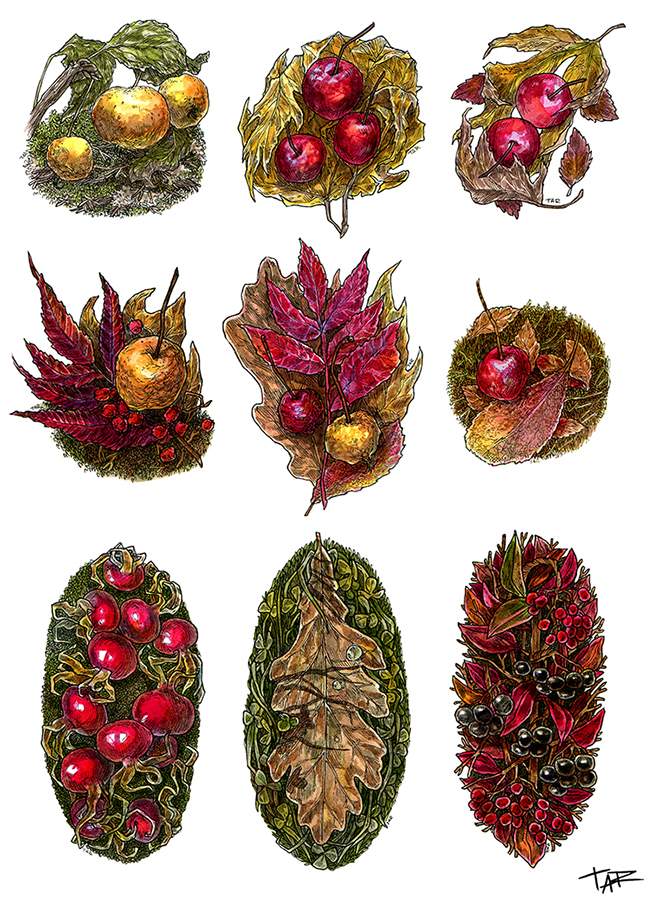 Осенние листья и плоды из серии "Маленькие предметы"