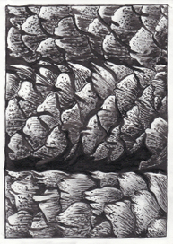 Природные мотивы