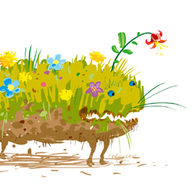 Каляки-маляки