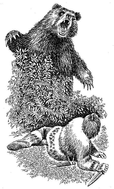 Иллюстрация "Сокровища острова Кокос"