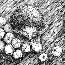 Ёж. Разворот 3