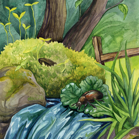 Иллюстрация к сказке "Жук" Г.Х. Андерсена