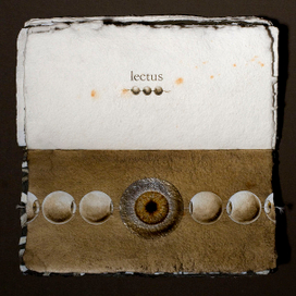 lectus (SENTENTIA)