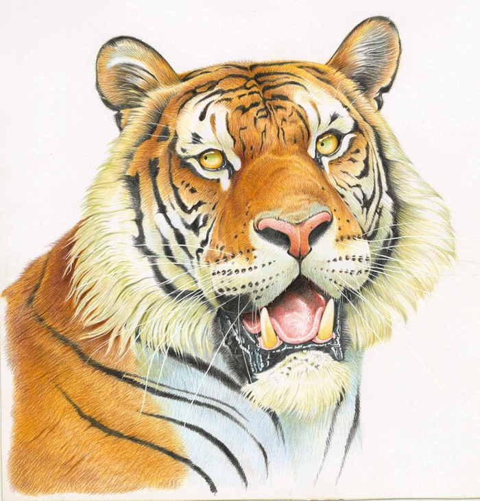 Календарь. Июль