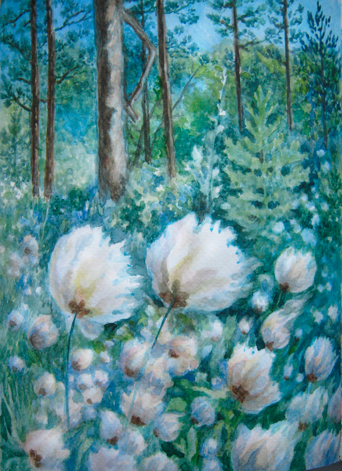 Очарованный ветер мягко гладит северный хлопок