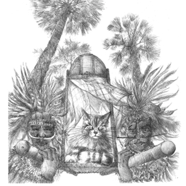 Кот и папуасы