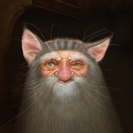 Домовой . Вид СЕРВАН. "Подпольная книга домовых"