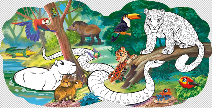 Южная Америка