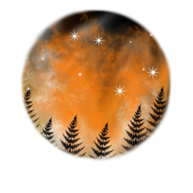 Арт-жифопись