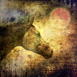 встречая новый день