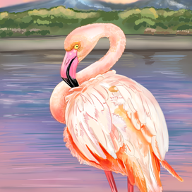Фламинго