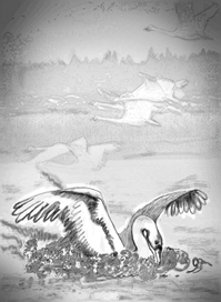 К сборнику стихов