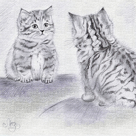 Дерзок и пушист