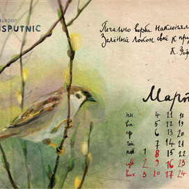 Март. Верба. Воробей.