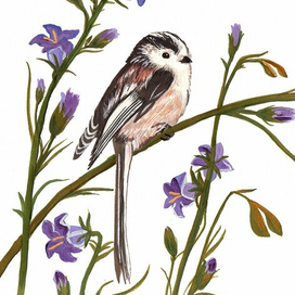 Ополовник на веточке