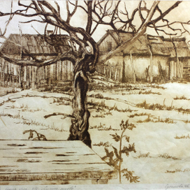 Старое дерево