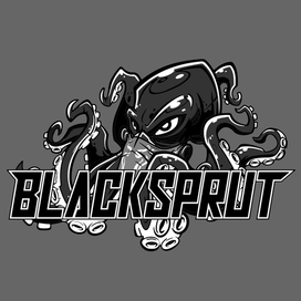 Логотип команды