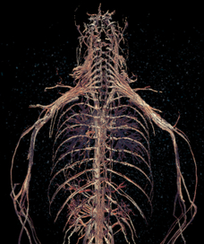 мужчина / этюд /