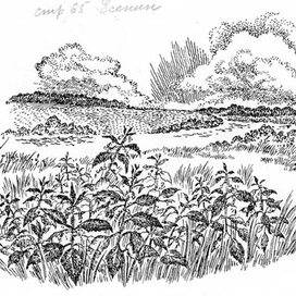 рабочая тетрадь по литературе