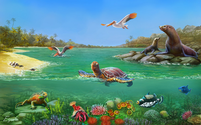 Мелководье