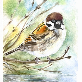 Весенний воробушек 