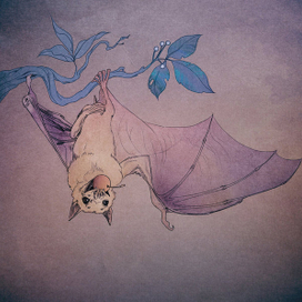 Нильский крылан