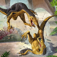 Хатсегоптерикс