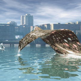 Донецк - 80-е