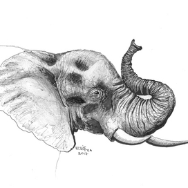 Слон 