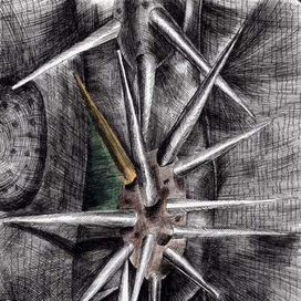 Кактус. Макро