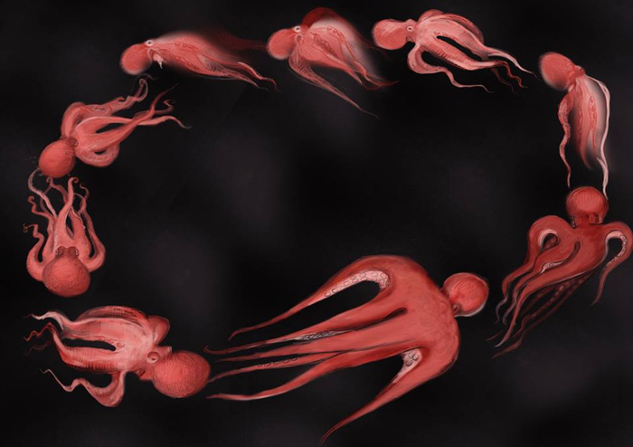 к фильму Маркос и Маркос