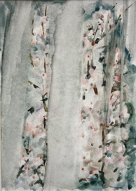 Весенний дождь