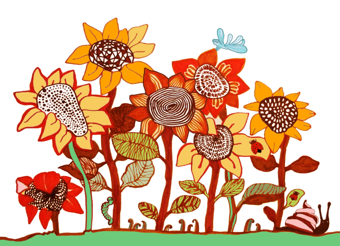 Подсолнухи