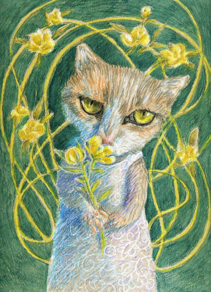 а за кадром штук десять котов в ожидании